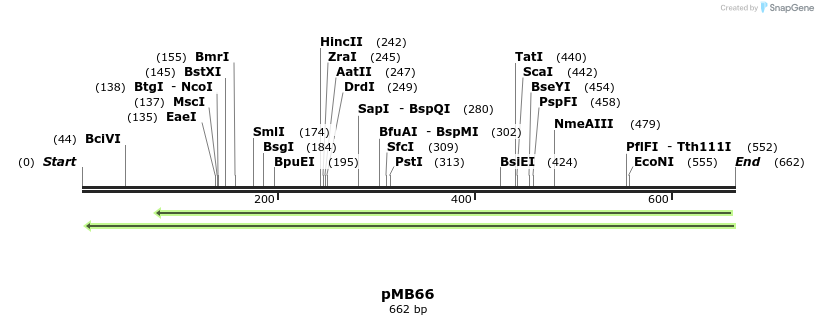 75202_map