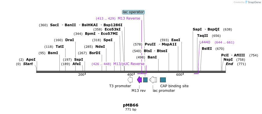 75203_map