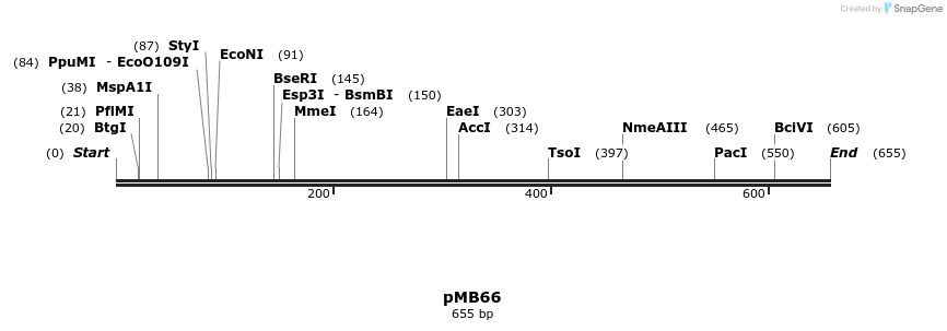 75204_map