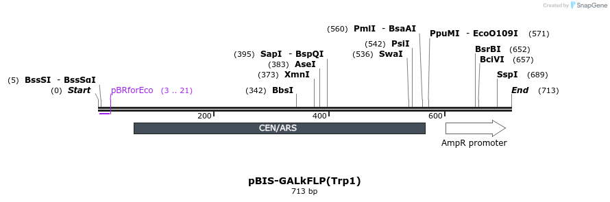 75205_map