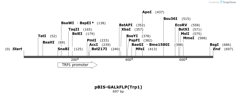 75206_map