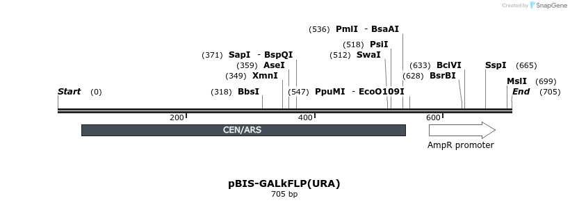 75207_map