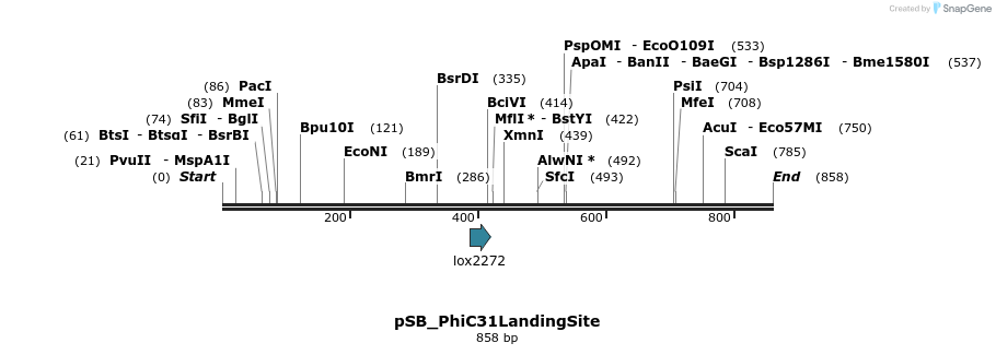 75210_map