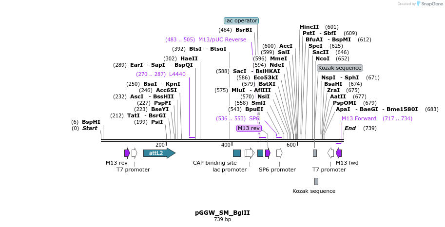 75211_map