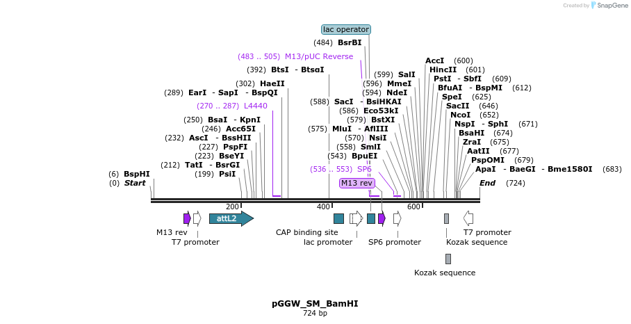 75212_map