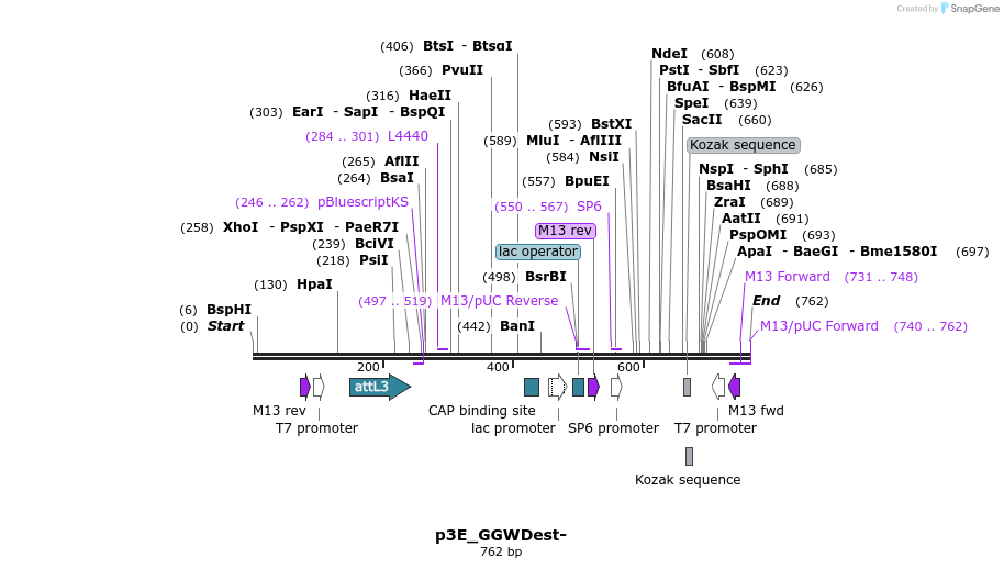 75213_map