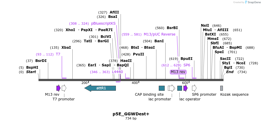 75218_map