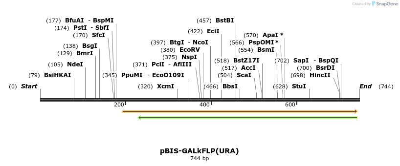 75219_map
