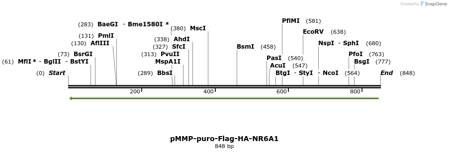 75243_map