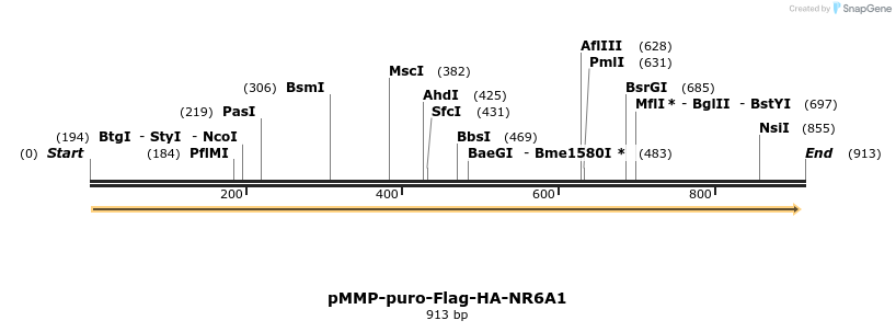 75244_map