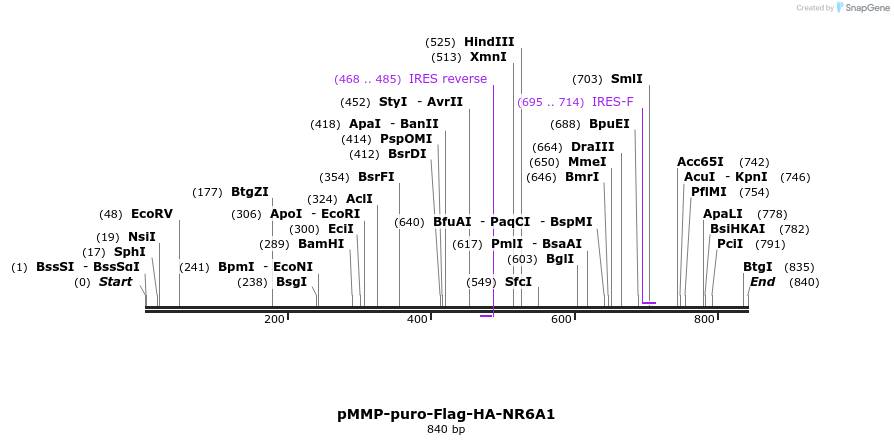 75245_map