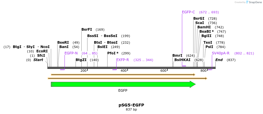 75247_map