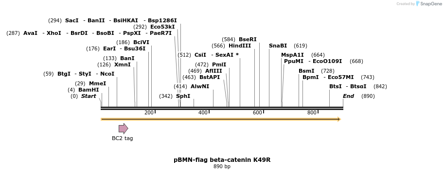 75250_map