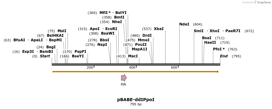75254_map