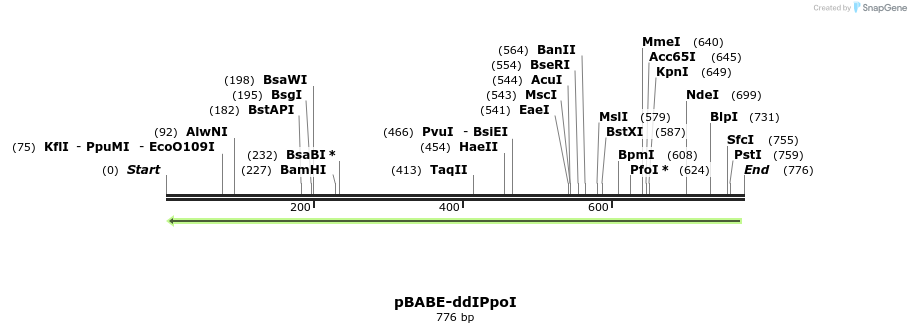 75255_map