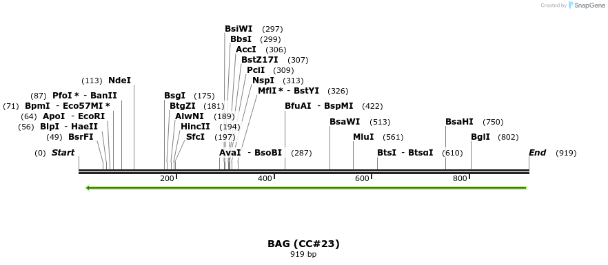 75256_map