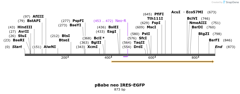 75260_map
