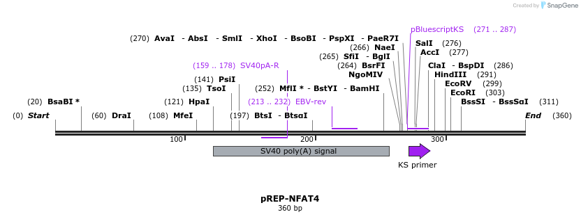 75262_map