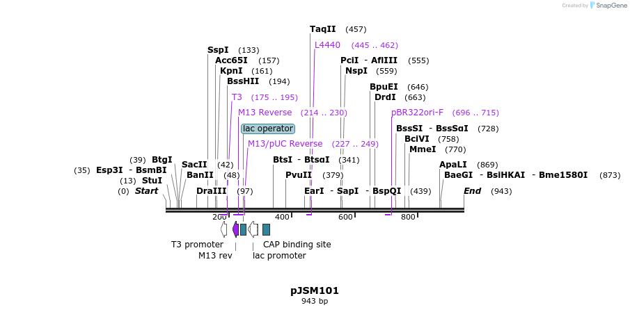 75263_map