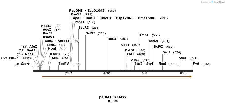 75265_map