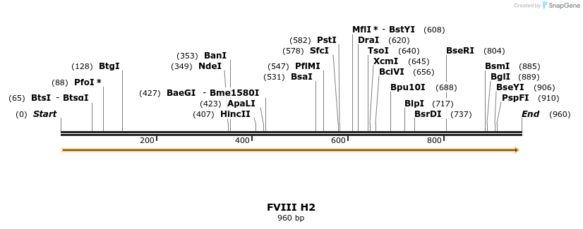 75266_map