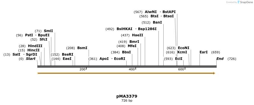 75271_map