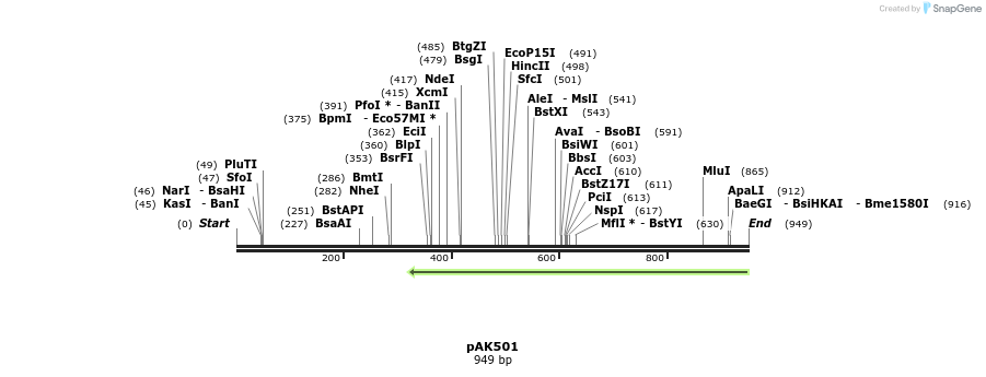 75272_map