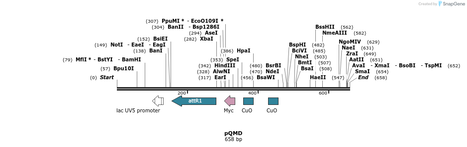 75273_map