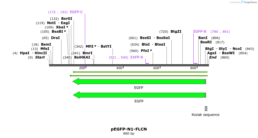 75280_map