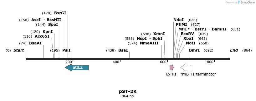 75282_map