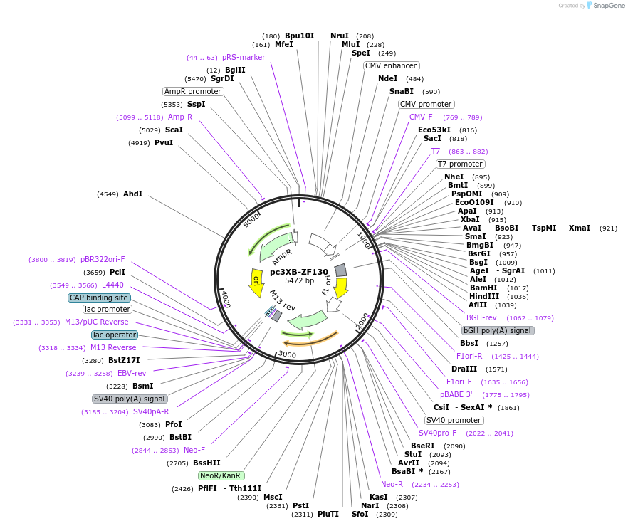 7529_map