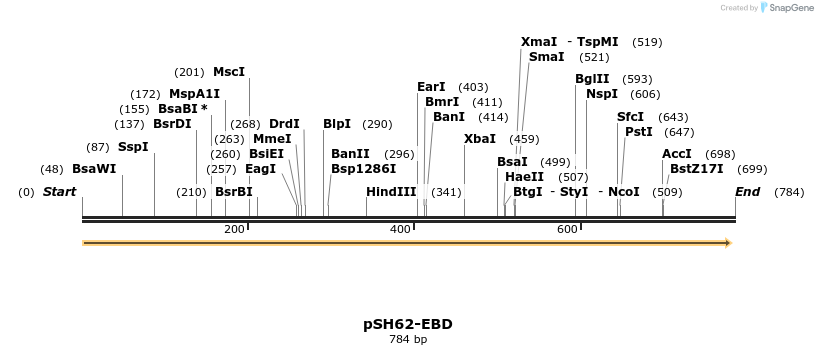 75297_map
