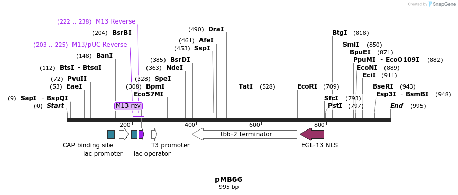 75312_map