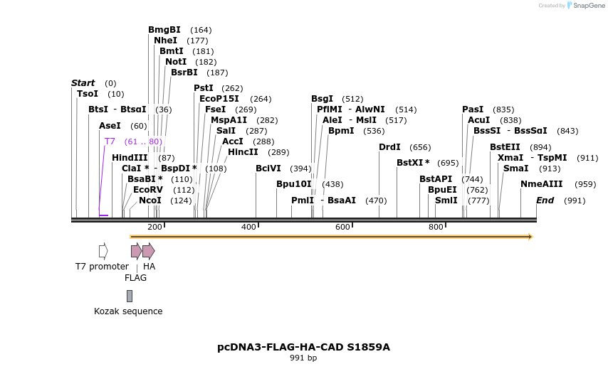 75316_map