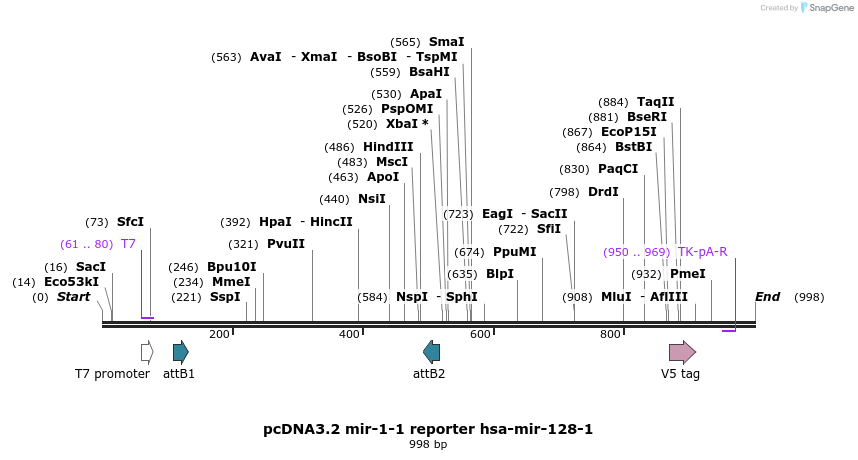 75324_map