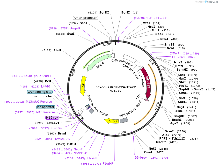 75350_map