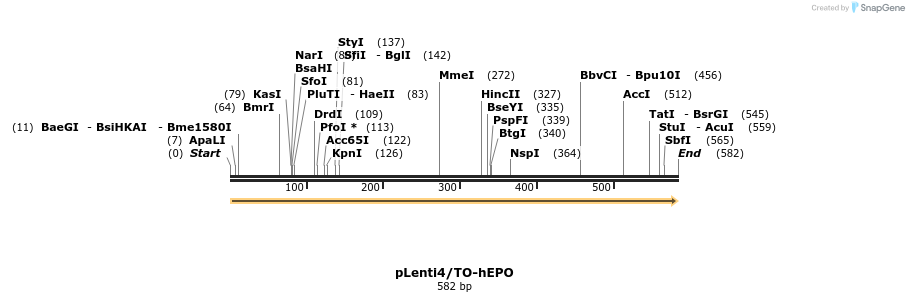 75357_map