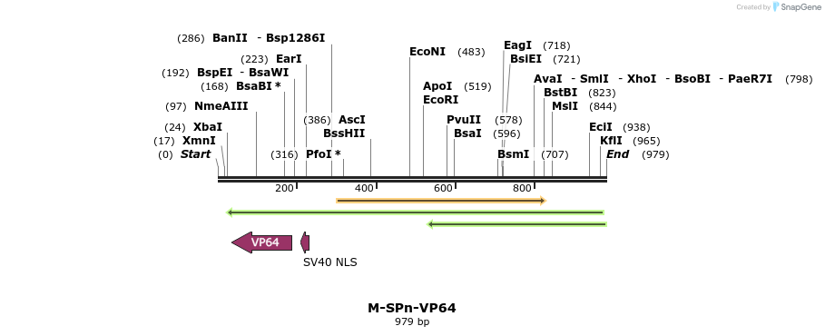 75365_map