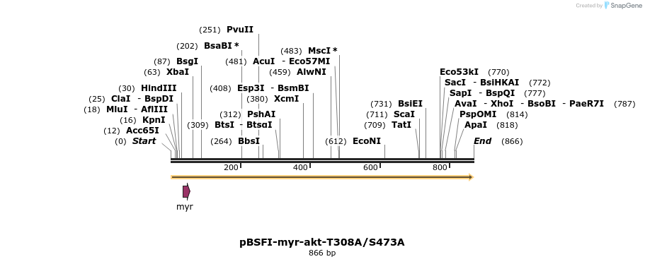 75367_map