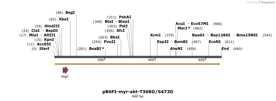 75368_map