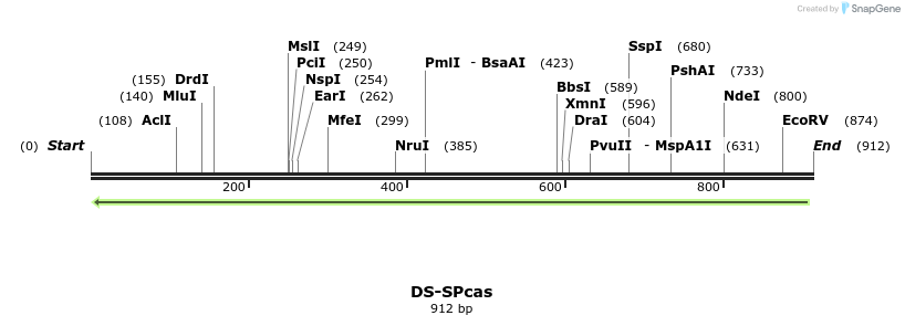 75371_map