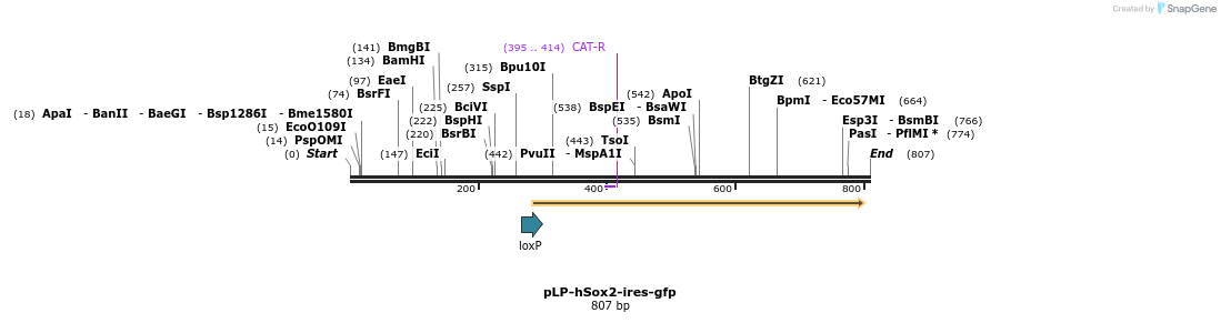 75375_map