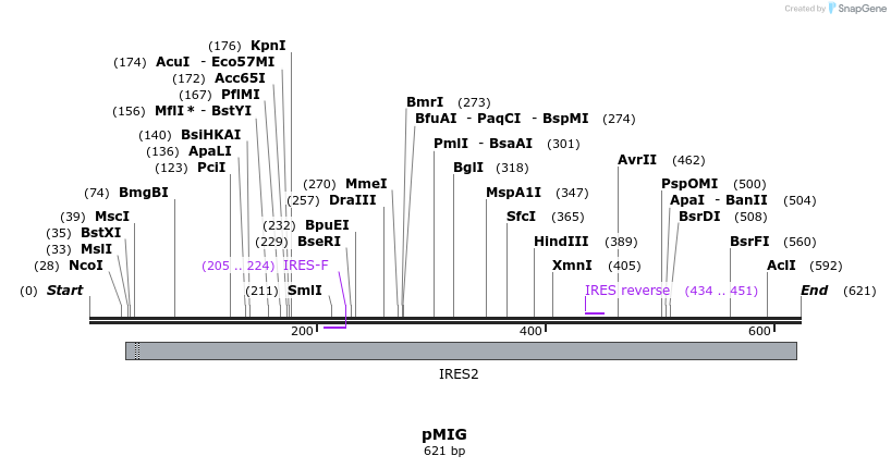75376_map
