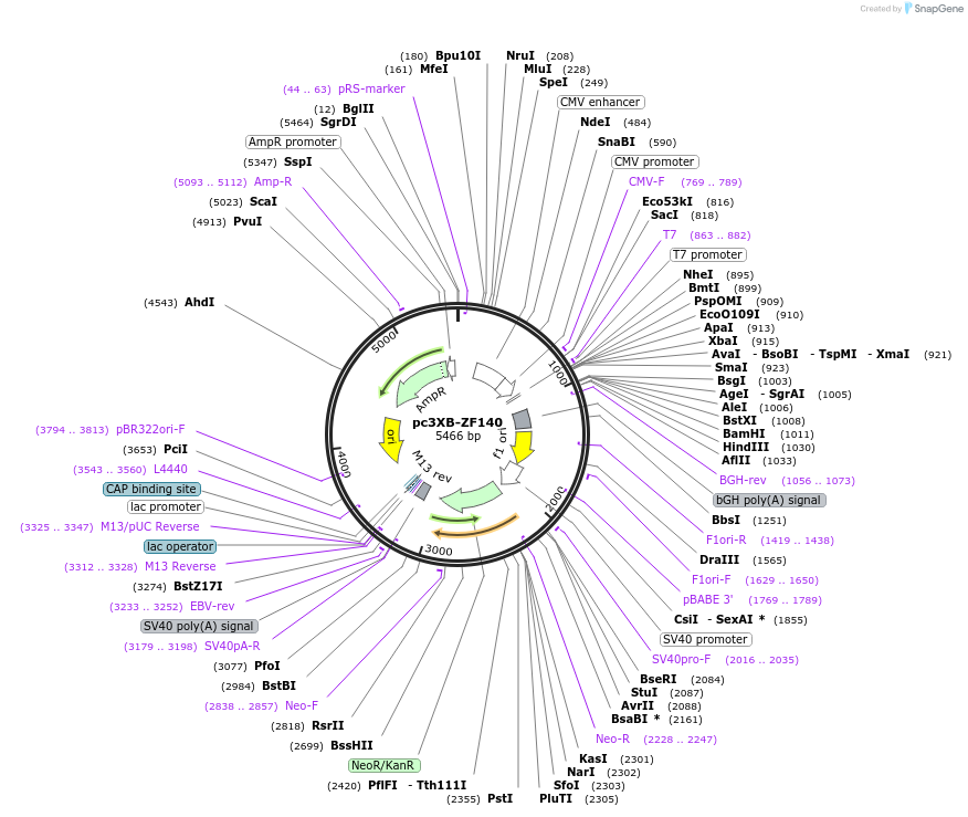 7539_map
