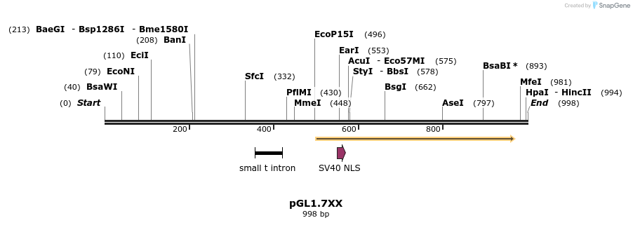 75391_map