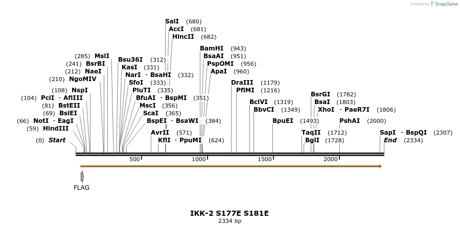 75398_map