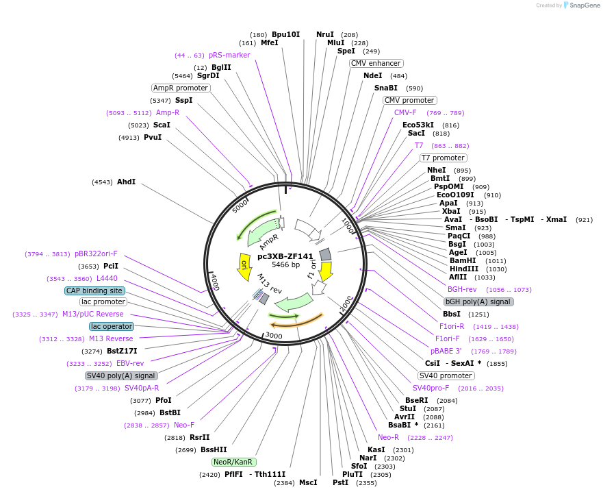 7540_map