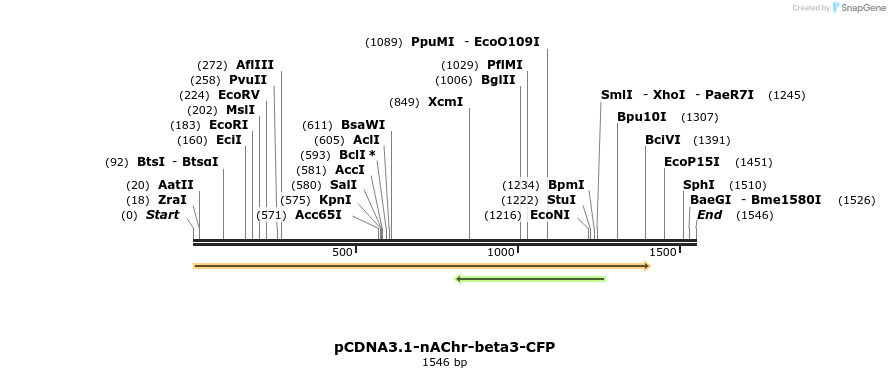 75411_map