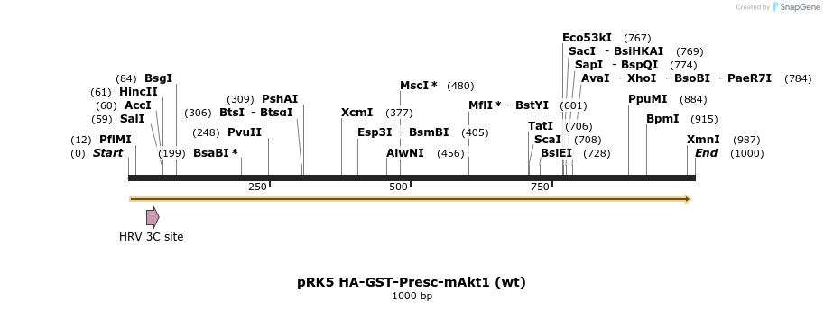 75423_map