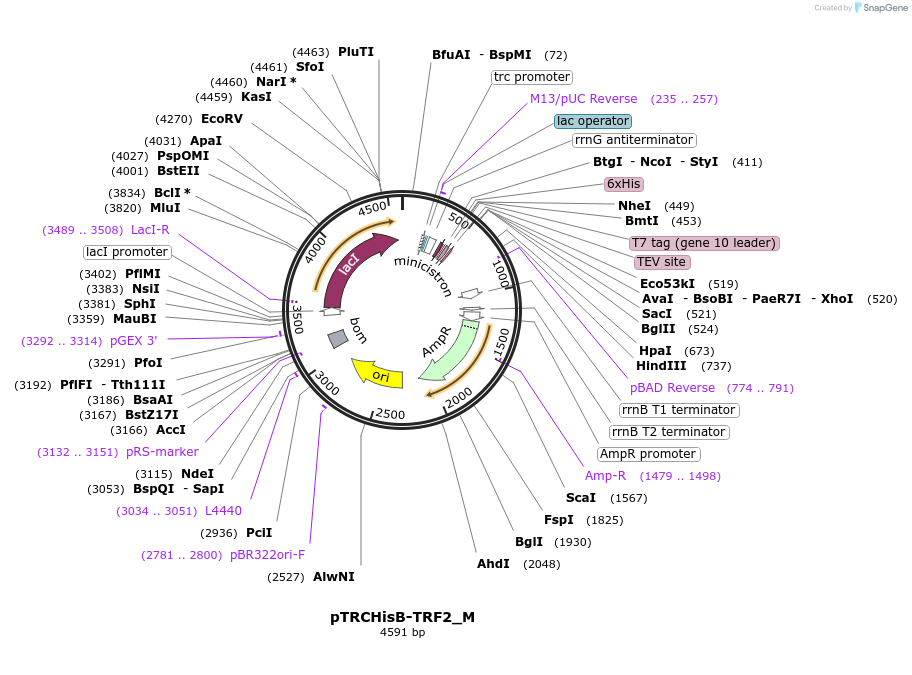 75429_map